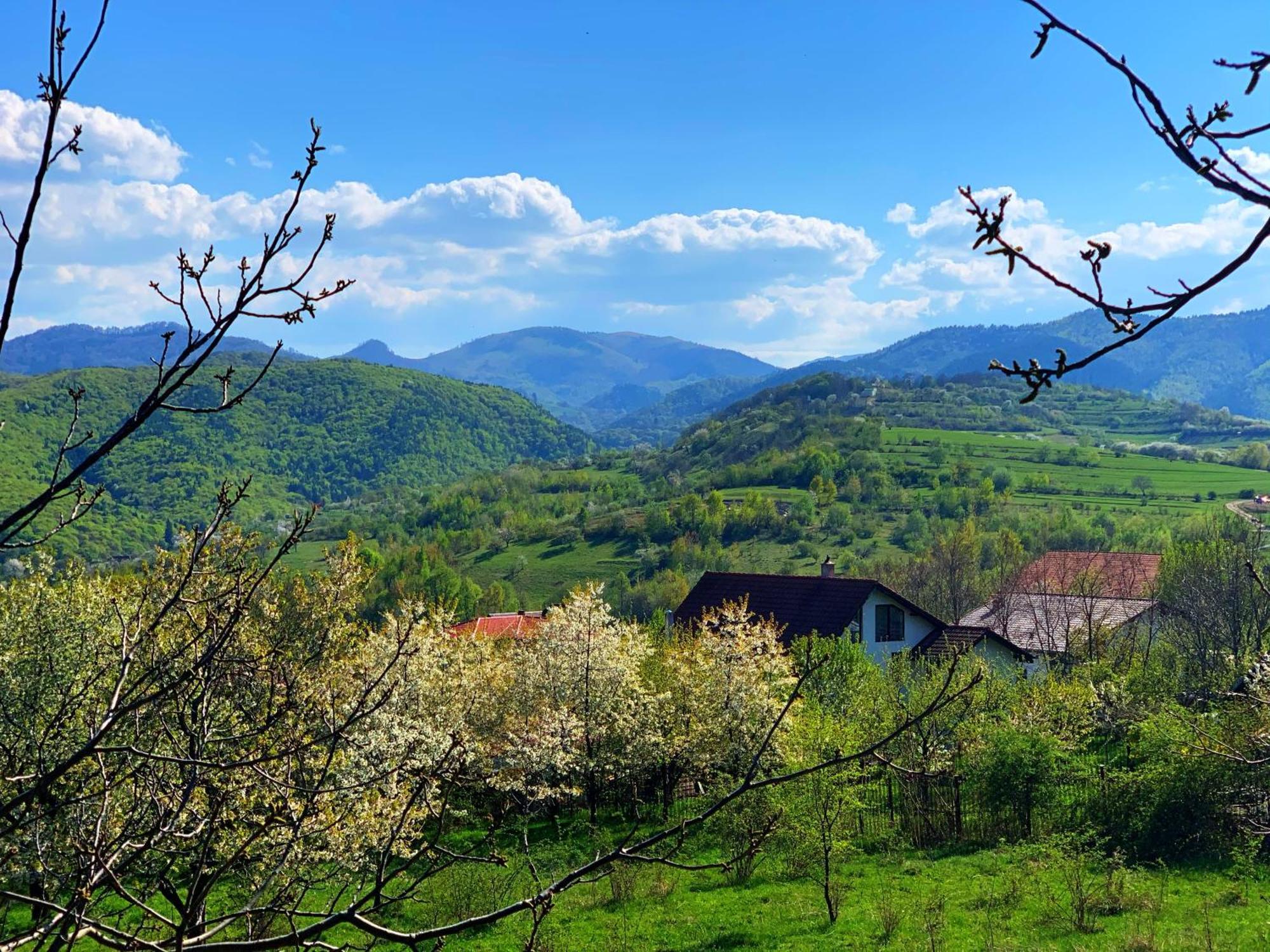Pensiunea Apfelhaus Cisnadioara Buitenkant foto